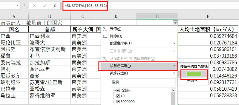 使用 SUBTOTAL 函数筛选 Excel 单元格