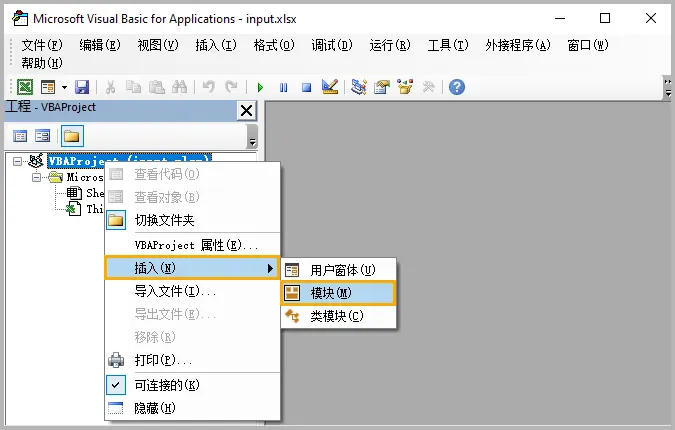 在 VBA 编辑器中插入模块